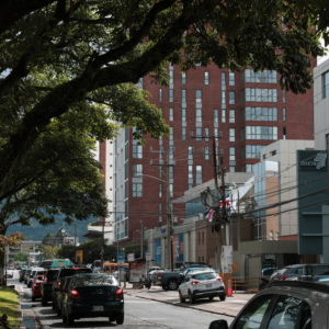 ¿A quién benefició el plan de repoblamiento de Johnny Araya para San José?