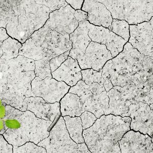 Diez consejos para cubrir el cambio climático