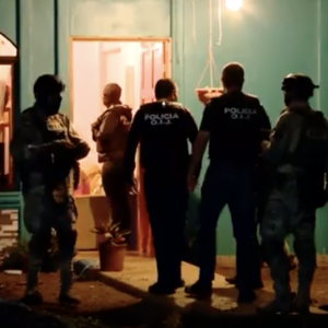 ¿Por qué se arman los ticos?