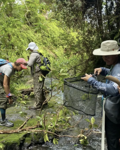 Microplásticos: el material invisible y omnipresente que viaja desde el Polo Norte hasta nuestros cerebros